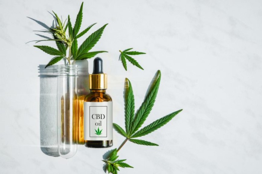 Know About CBD Business Opportunities