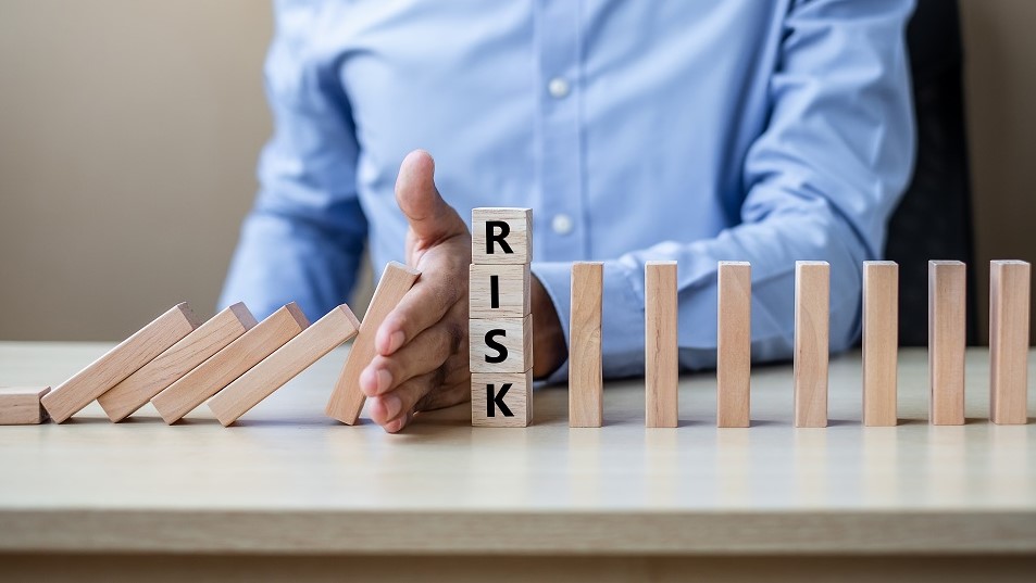 Difference Between Risk Tolerance vs Risk Appetite